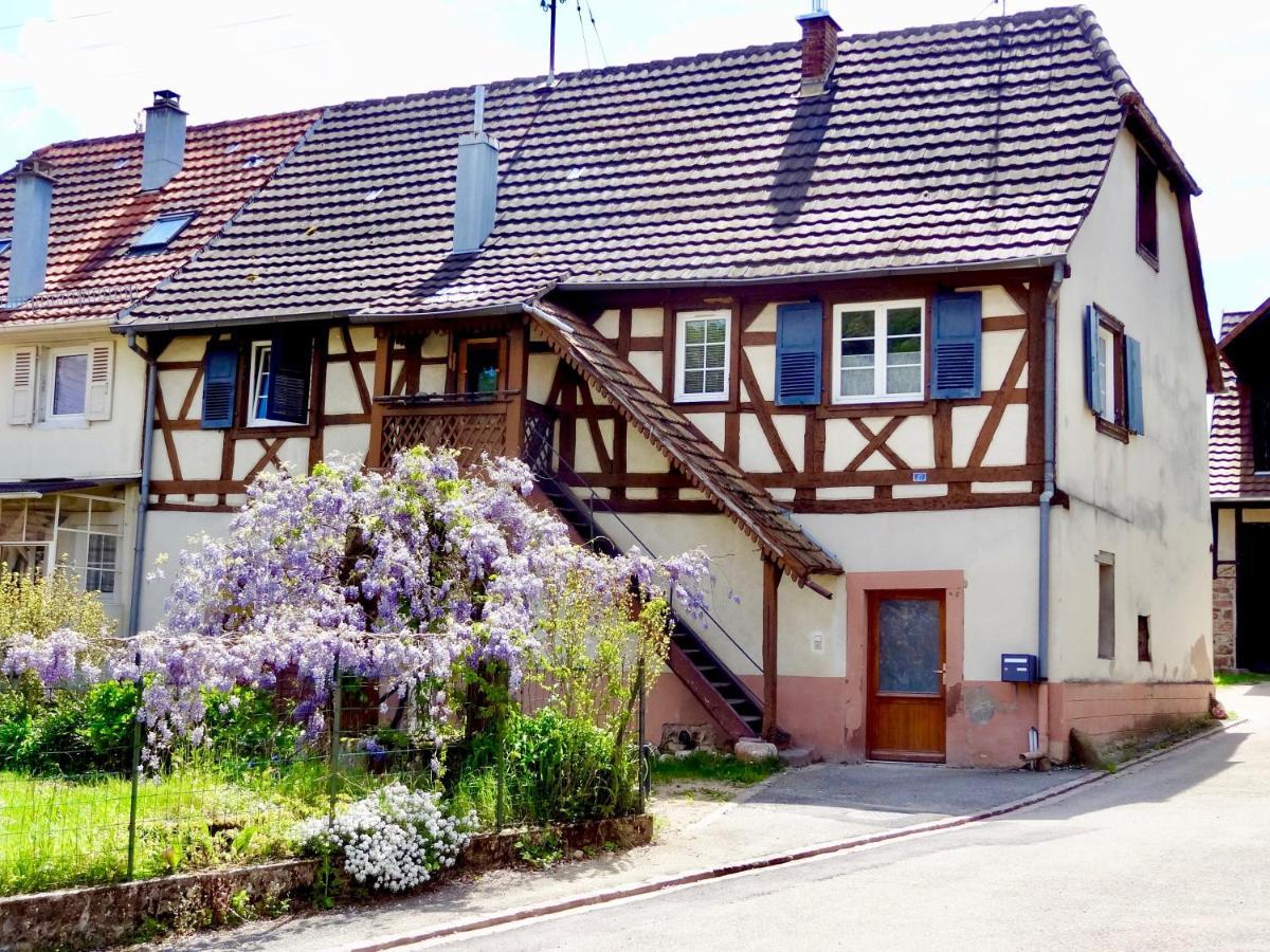 La Couette Enchantee - Parking - Zimmerbach Eksteriør billede
